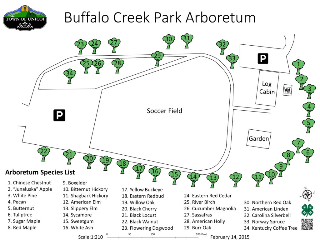 Buffalo Mtn. Arboretum Map